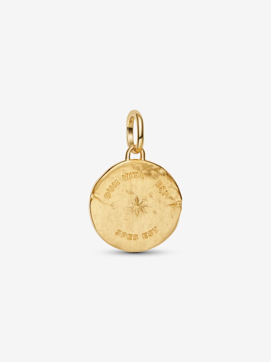 Charm Medallion Rondine "Dum Vita Est Spes Est" Placcatura in Oro 14k Pandora 764082C01