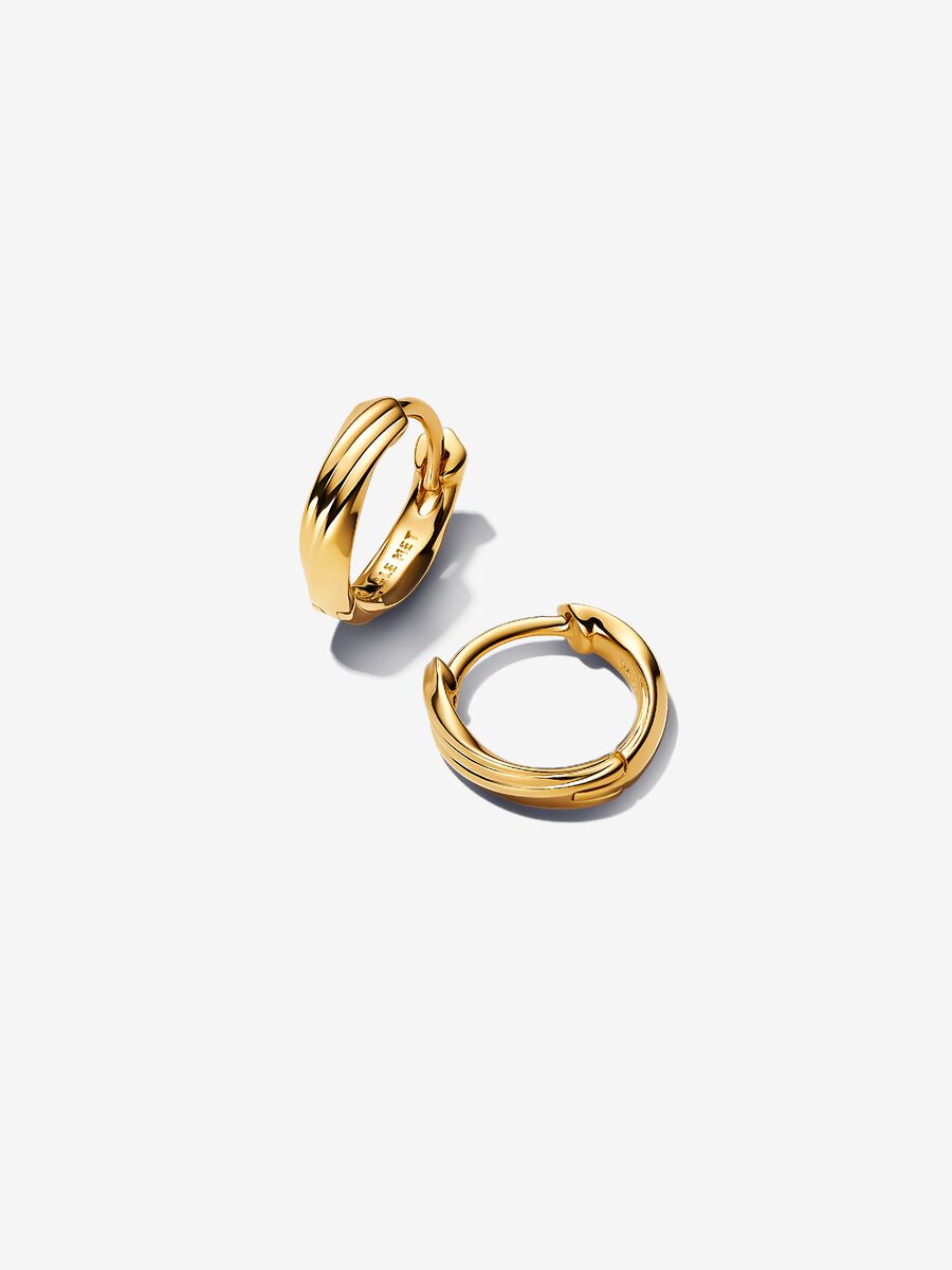 Orecchini Cerchi Piccoli Linea Avvolgente
Placcatura in Oro 14k Pandora 263871C00