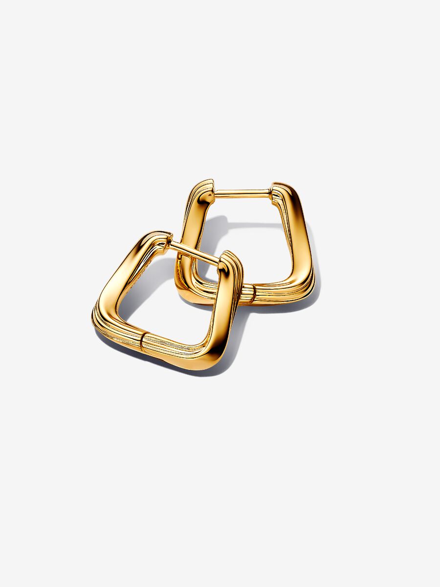 Orecchini Cerchi Squadrati Linea Avvolgente
Placcatura in Oro 14k Pandora 263875C00