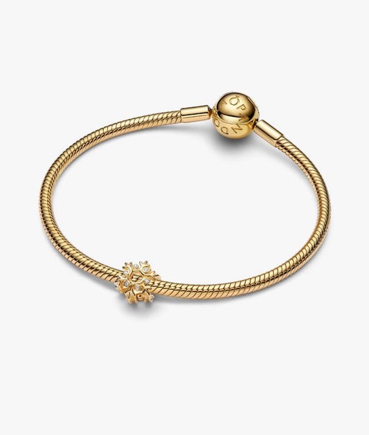 Charm Openwork Fiocco di Neve
Esclusiva Lega Metallica Rifinita in Oro Pandora 764249C01