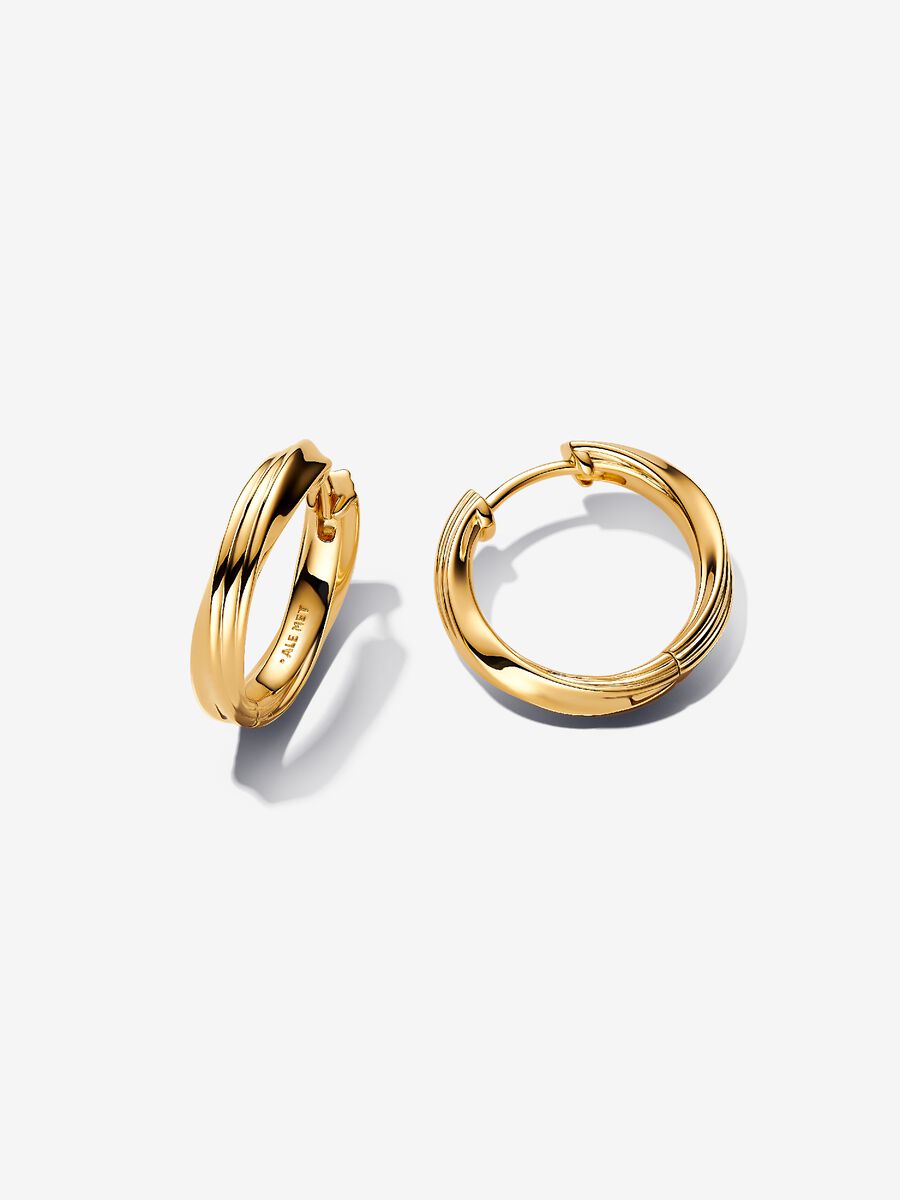Orecchini Cerchi Linea Avvolgente
Placcatura in Oro 14k Pandora 263878C00