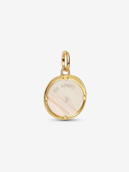 Charm Medallion Pegaso "Ex Animo"
Argento Sterling 925, Placcatura in Oro 14k Pandora 764090C01