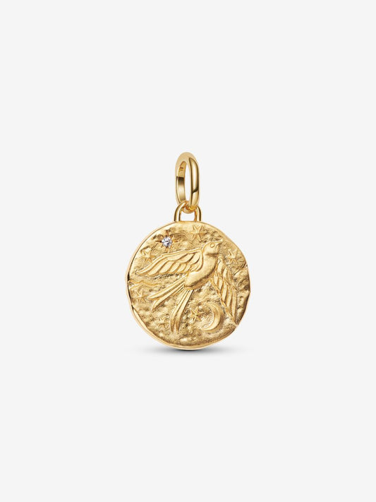 Charm Medallion Rondine "Dum Vita Est Spes Est" Placcatura in Oro 14k Pandora 764082C01