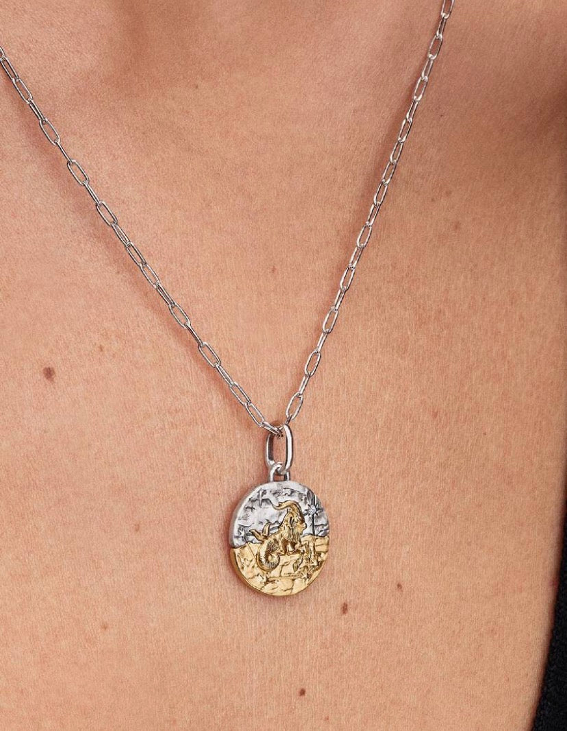 Charm Medallion Capricorno Pandora 764987C01