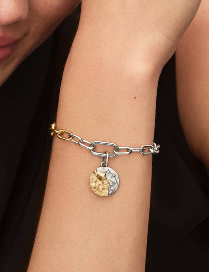 Charm Medallion Acquario Pandora 764990C01