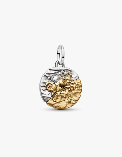 Charm Medallion Toro Pandora 764986C01
