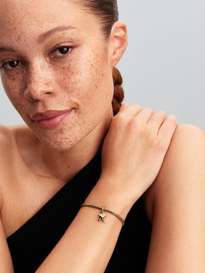 Charm Pendente Stella Marina "Darling"
Placcatura in Oro 14k Pandora 763892C01