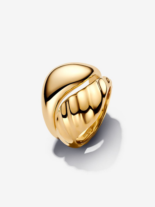 Anello Dune Divisibile
Placcatura in Oro 14k Pandora 163832C00