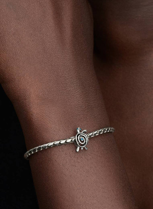 Charm Openwork Tartaruga Marina Pandora 794697C01