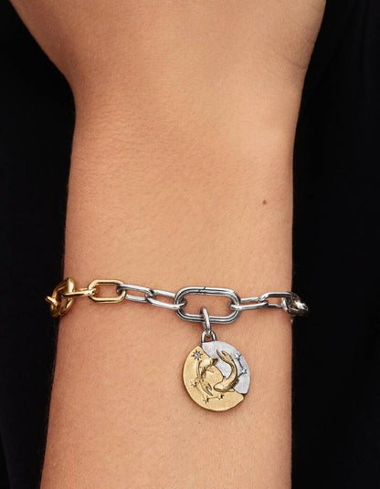 Charm Medallion Pesci Pandora 764991C01