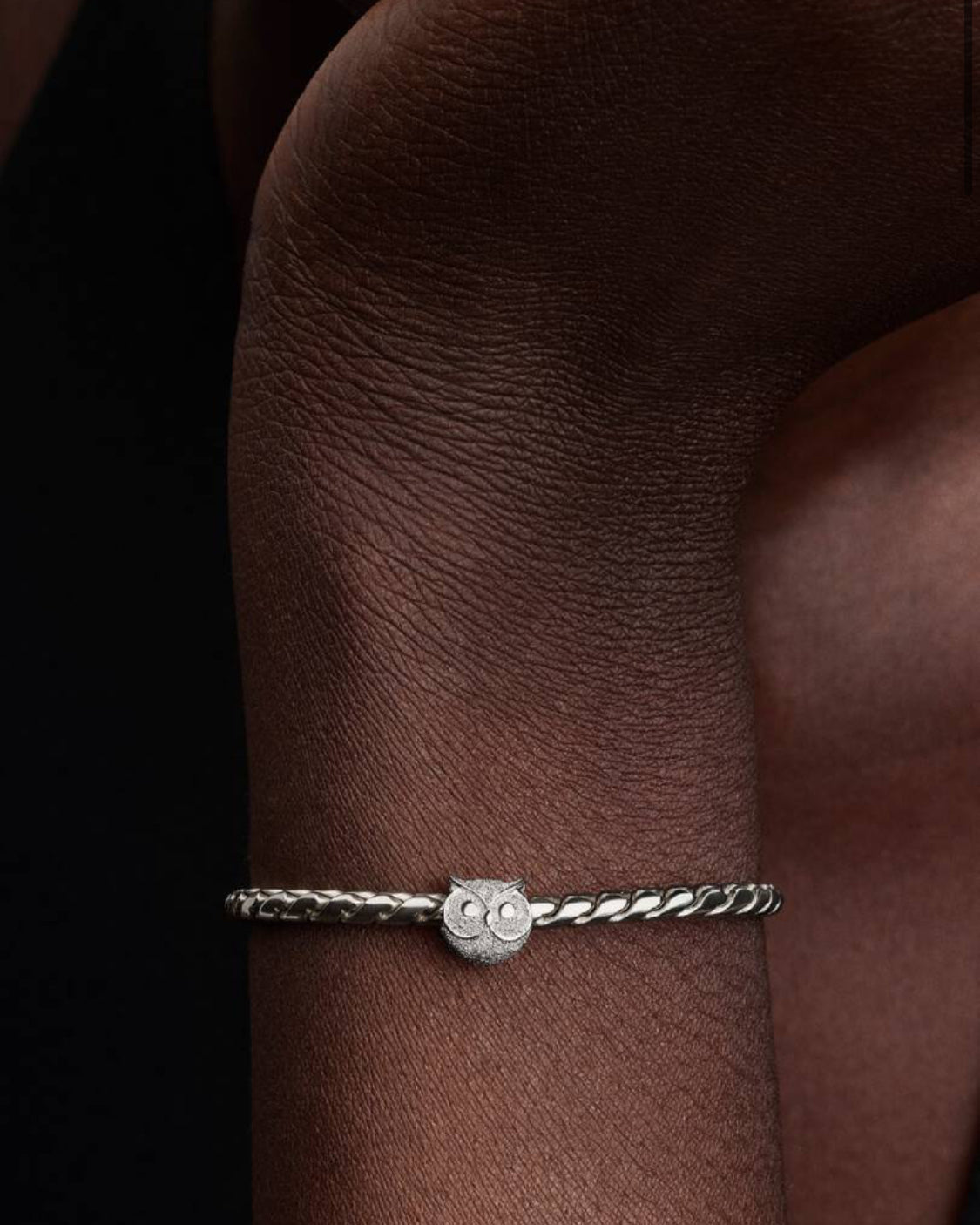 Mini Charm Gufo effetto diamantato Argento Sterling 925 Pandora 794525C00