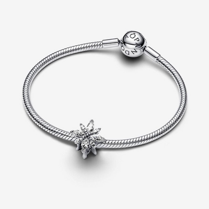 Charm Stella Polare Luminosa Pandora 793591C01