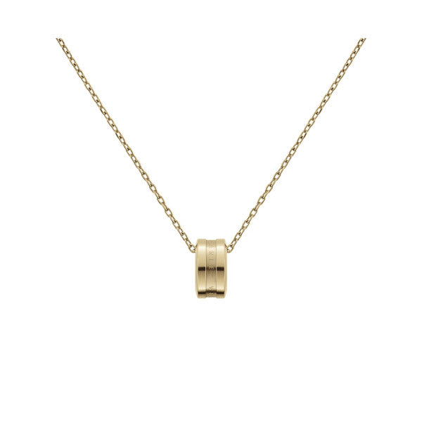 Elan Daniel Wellington necklace DW00400515