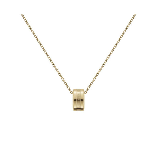 Elan Daniel Wellington necklace DW00400515