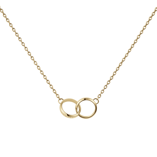 Elen Unity Daniel Wellington necklace DW00400219