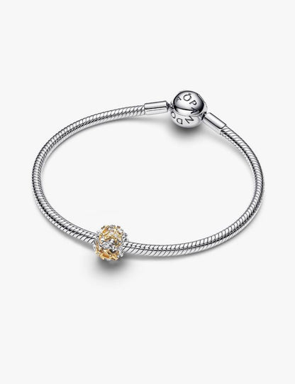 Charm Openwork Costellazione Pandora 765042C01