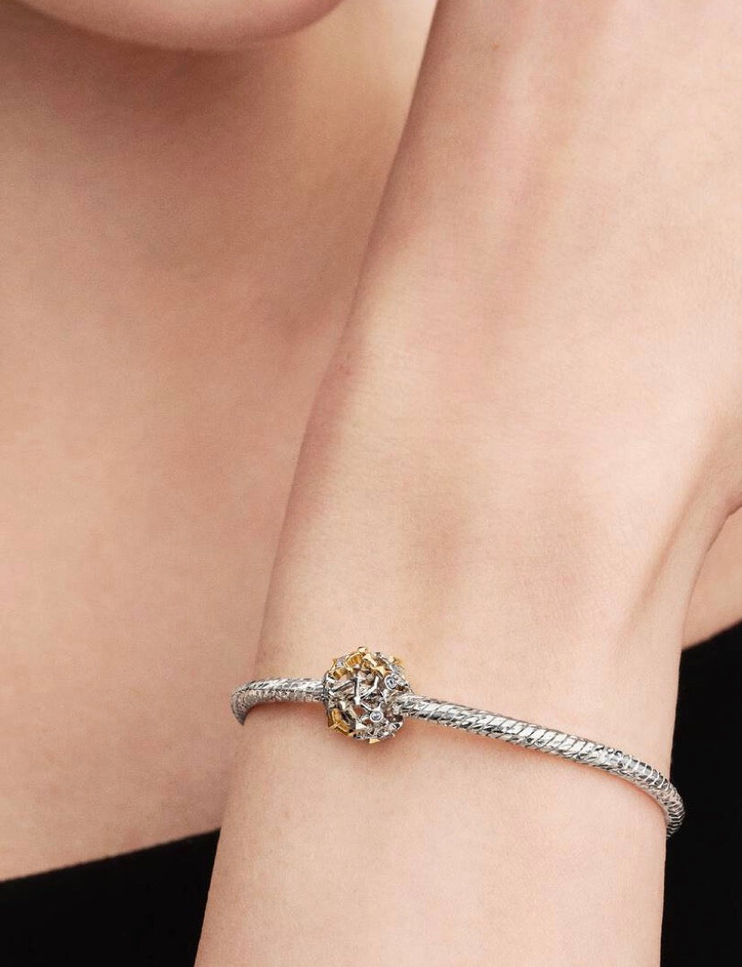 Charm Openwork Costellazione Pandora 765042C01